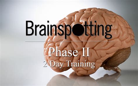 trainings phase ii 2 day training brainspotting
