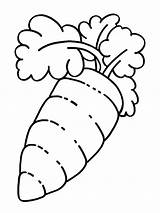 Carrot Coloring Pages Verduras Line Drawing Vegetables Color Clipartmag Recommended sketch template