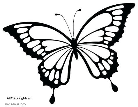 printable coloring page butterfly printable spring butterfly template