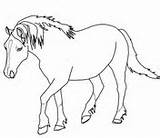 Horse Coloring Pages Palomino Welsh Horses Pony Color Printable Drawing Shetland Rearing Outlines Cute Print Getdrawings Draft Paint Supercoloring Getcolorings sketch template