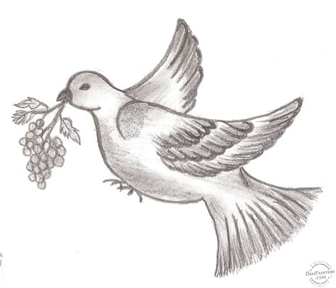 pencil sketch  bird desipainterscom