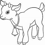 Goatling Illustraties Geitje Bekijken Beelden Gelijksoortige sketch template