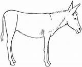Drawing Mule Donkey Draw Getdrawings Choose Board sketch template