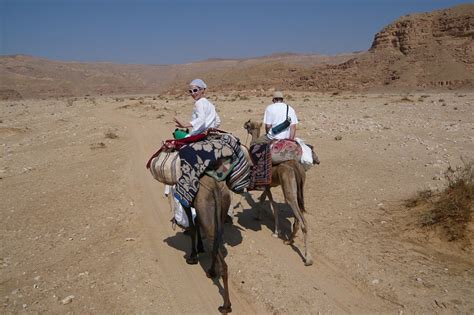 overnight desert trek  camel desert divers dahab