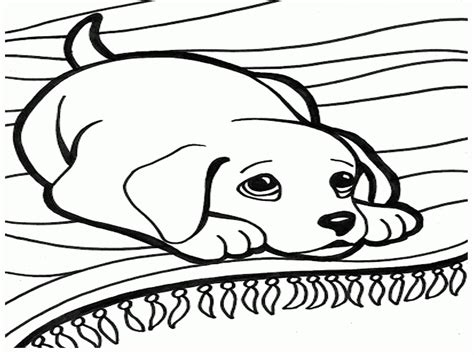 easy dog coloring page  girls coloring page dogs coloring coloring
