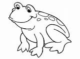 Bullfrog Coloring Printable 09kb 450px Getdrawings Getcolorings sketch template