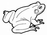 Frog Coloring Pages Jumping Pattern Plain Tattoodaze Clipart Presentations Websites Reports Powerpoint Projects Use These Panda sketch template