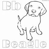 Coloring Pages Beagle Dog Printable Getcolorings Getdrawings sketch template