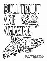 Coloring Trout Bull Trouts Pages Coloringbay sketch template