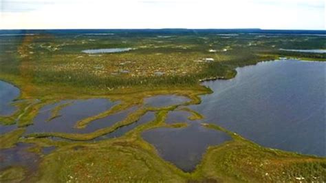 canadas hudson bay lowlands succumbing  climate change eye   arctic