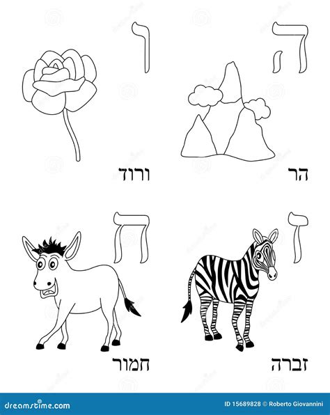 coloring hebrew alphabet  royalty  stock  image
