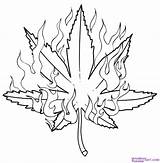 Coloring Pages Cannabis Getcolorings sketch template