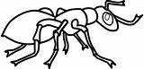 Ant Clipart Clip Ants Coloring Hey Little Transparent Cliparts Colony Panlipunan Araling Subject Hdclipartall Document Writing Paper Kb Jpeg Collection sketch template