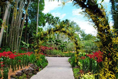 Los 16 Mejores Jardines Botánicos Del Mundo Consumer