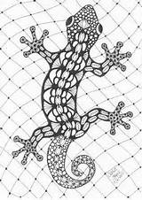Gecko Salamandre Lizard Zentangle Lezard Mandalas Nati Tangle Graphisme Visiter Tatouage Aborigène sketch template