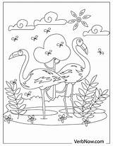 Flamingos Flamingo Verbnow sketch template