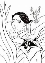 Pocahontas Coloring Meeko Pages Disney Flit Walt Fanpop Figuren sketch template