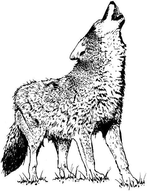 simple wolf howling drawing  getdrawings