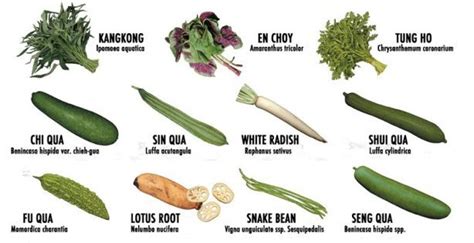Chinese Vegetables The Explanation