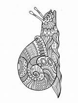 Snail Zentangle sketch template