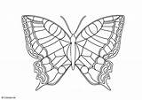 Schmetterling Coloring Vlinder Malvorlage Borboleta Mariposa Kleurplaat Farfalla Colorare Ausdrucken Kostenlos Schmetterlinge Borboletas Sommerfugl Tegninger Riscos Recortar Ausmalbild Fargelegge Schoolplaten sketch template