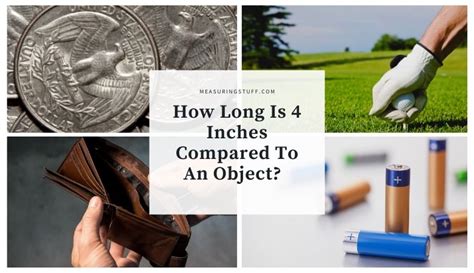 long   inches compared   object measuring stuff