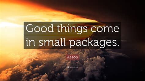 aesop quote “good things come in small packages ”