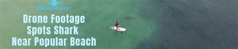 drone footage spots shark  popular beach
