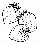 Strawberries Fraises Czerwone Trzy Kolorowanka Druku Coloriages Malowankę Wydrukuj sketch template