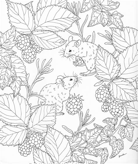 coloring pages nature