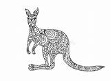 Kangaroo Coloring Zentangle Kangoeroe Pagina Preview Illustration sketch template