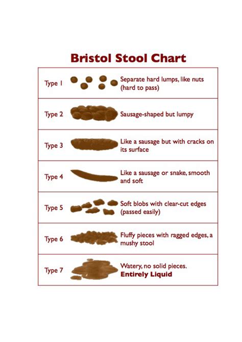 stool color guide  chart edit fill sign  handypdf