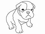 Coloring Dog Pages Boxer Pitbull Puppy Baby Cute Drawing Puppies Drawings Dogs Pitbulls Kids Print Line Color Printable Pug Getdrawings sketch template