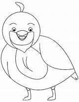 Quail Coloring Valley Laughing sketch template