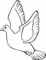 Dove Coloring Flying Pages Printable Doves sketch template