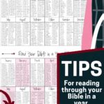 tips   successful   read  bible   year  print