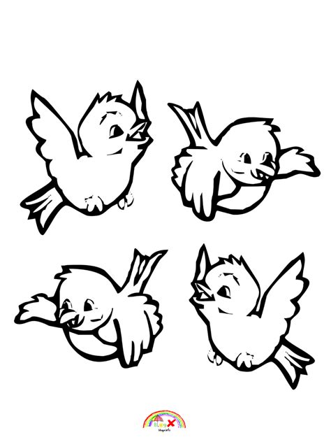 cute  birds coloring page coloring pages  kids
