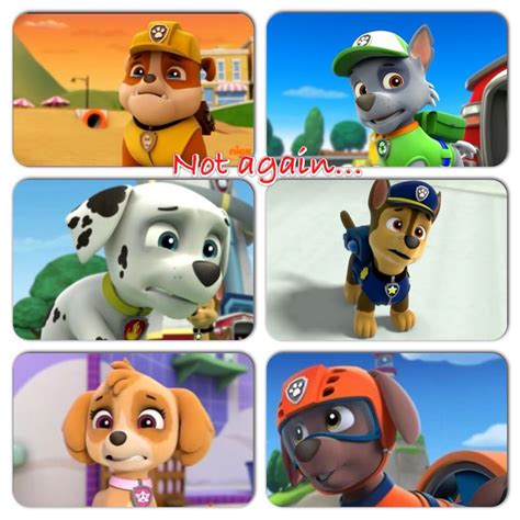 Paw Patrol Campus Life Chapter 21 We Re What Wattpad