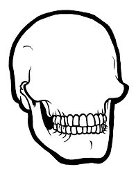 image result  skull outline skull template skull coloring pages