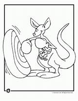 Kangaroo Boxing Animaljr sketch template