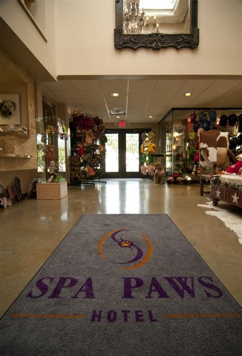 gallery spa paws hotel
