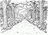 Coloring Forest Pages Printable Library Clipart Quality High sketch template
