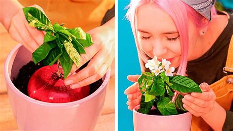 50 incredible gardening hacks you ll find extremely useful youtube