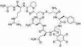 Vasopressin Hormone Peptide Shown Adh Antidiuretic Molecular Has Biochemistry Below Expert Answer Solved sketch template