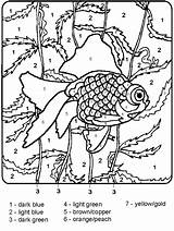 Fish Coloring Pages Cbn Color Number Superbook Numbers Spider Kids Adult Template Printable Book sketch template