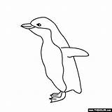 Penguin Coloring Baby Pages Penguins Outline Animals Thecolor sketch template