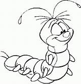Coloring Pages Caterpillar Popular sketch template