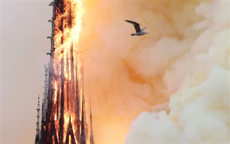 notre dame cathedral burning  facts interaksyon