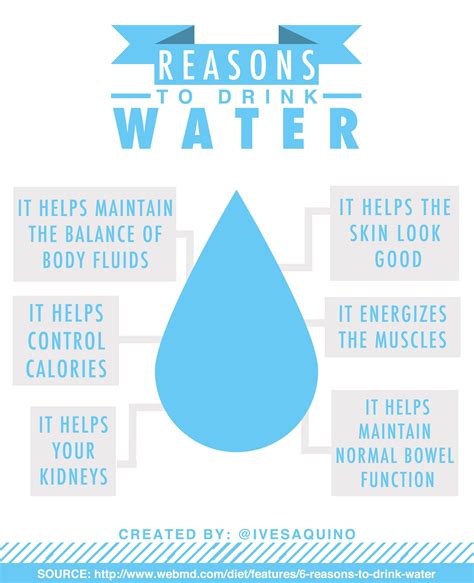 why it s important to drink water why drink water