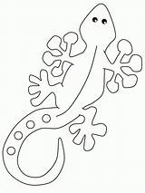 Lizard Coloring sketch template